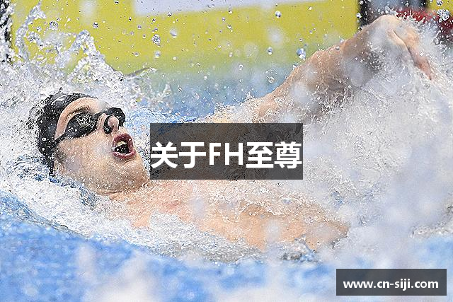 关于FH至尊